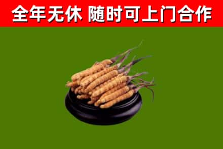 安达烟酒回收冬虫夏草.jpg