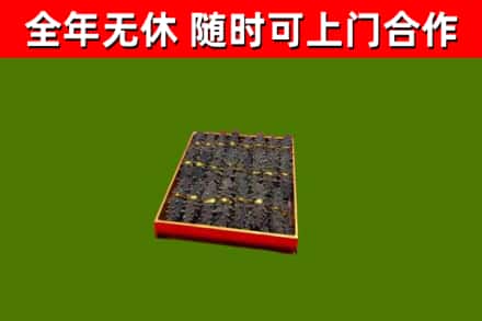 安达烟酒回收海参.jpg